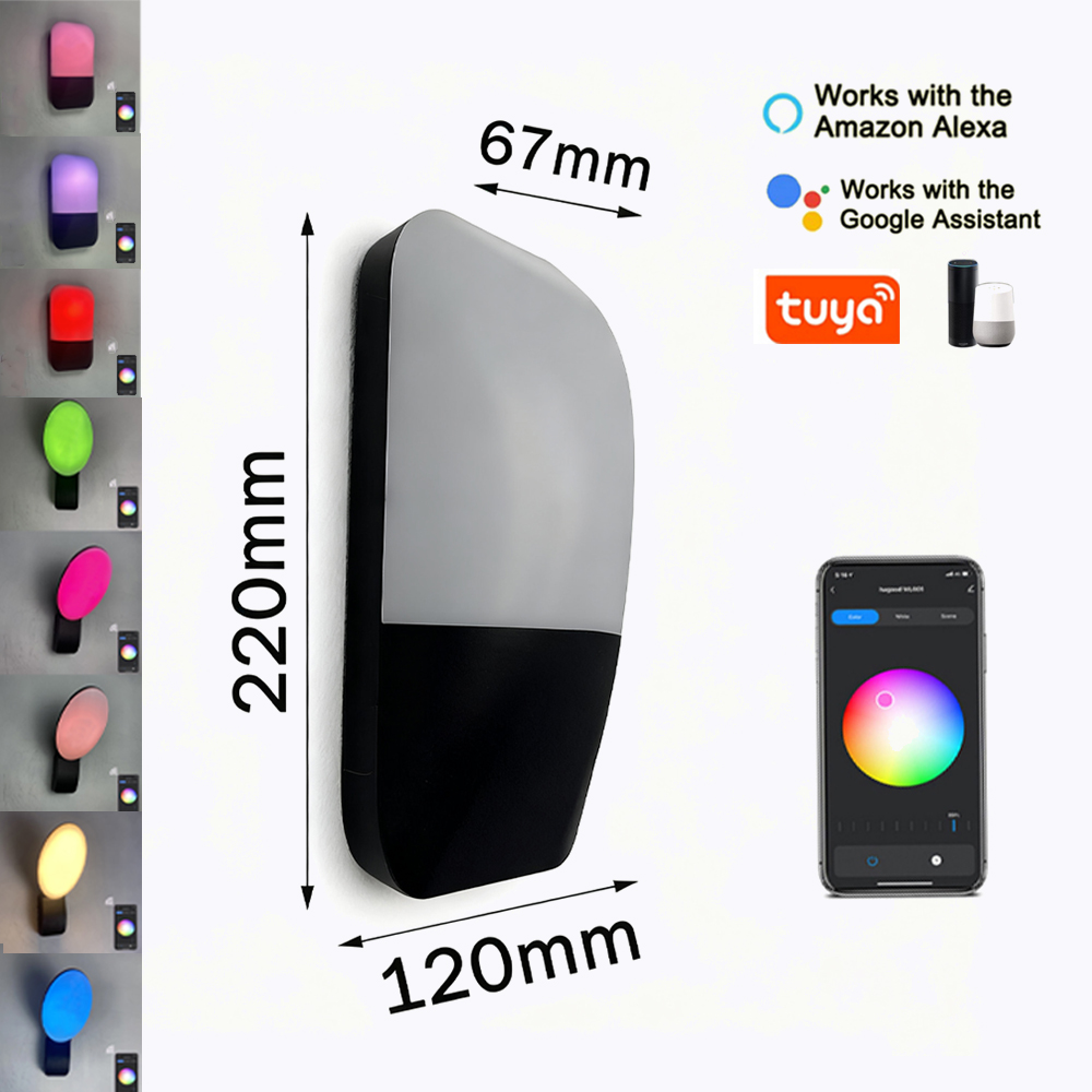 Outdoor Lighting Year Round - 9W RGBW LED Outdoor Wall Lamp