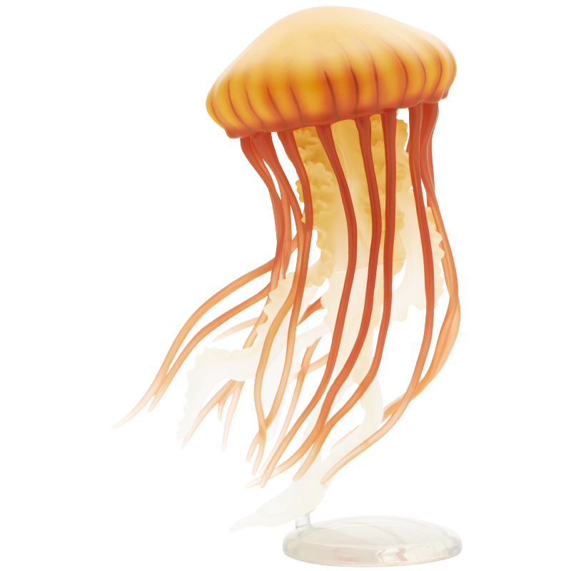 Jellyfish Gashapon Figure Kita - Outdoor Lighting Jellyfish review and price