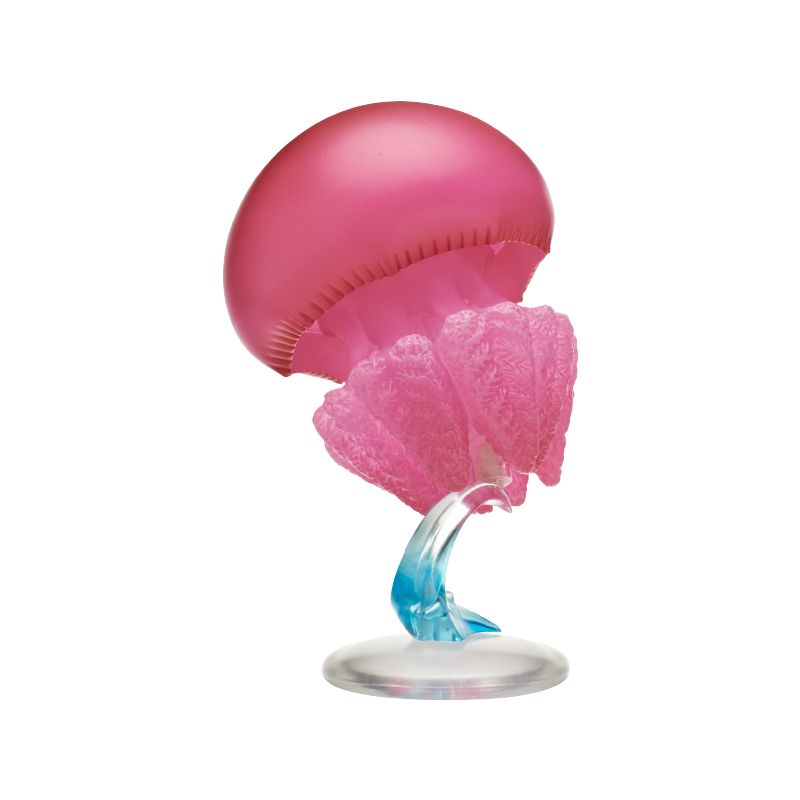 Jellyfish Gashapon Figure Kita - Outdoor Lighting Jellyfish review and price