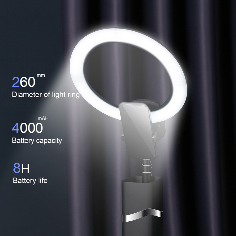 Outdoor Live beauty light,Port - Outdoor Lighting In Photography review and price